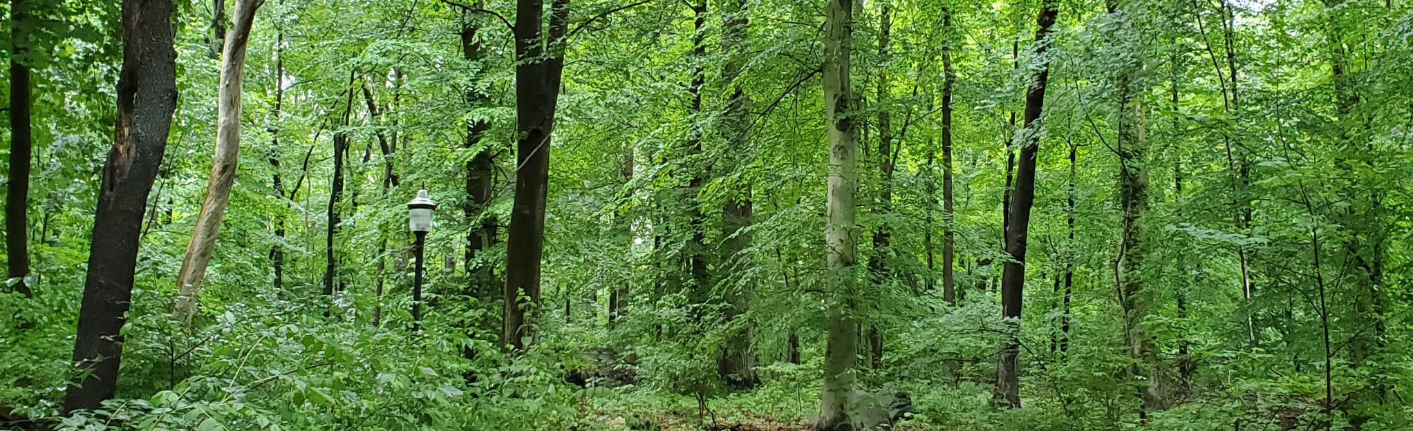 rockwood park bike trails