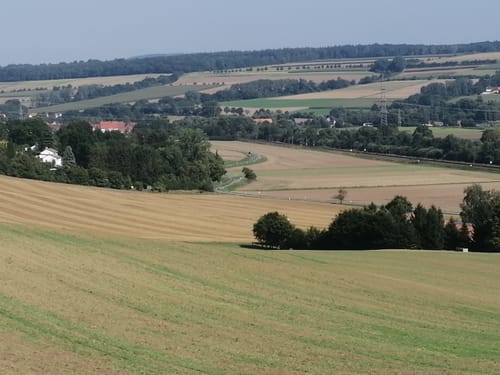 In den Wald am Scheibenberg