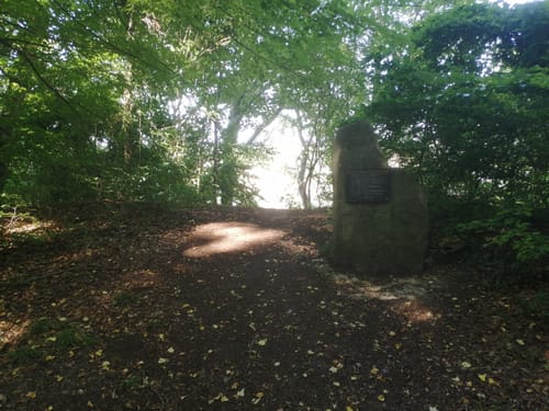 In den Wald am Scheibenberg