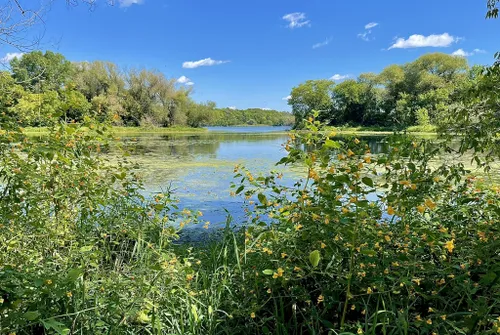 Best Hikes And Trails In Lake Rebecca Park Reserve Alltrails