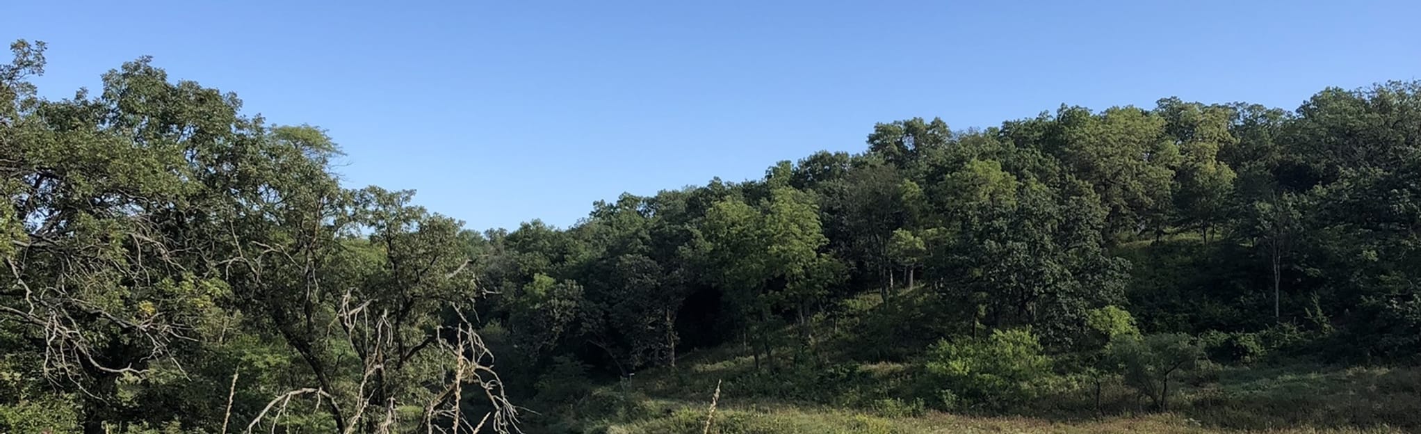 AllTrails Whiterock Conservancy Long Creek trail 148 Reviews, Map Iowa