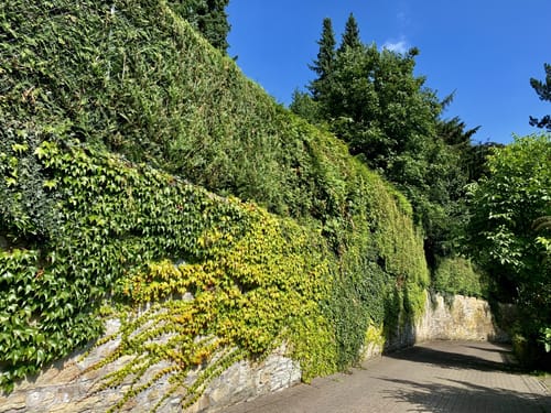 3 -Burgen -Weg Taunus