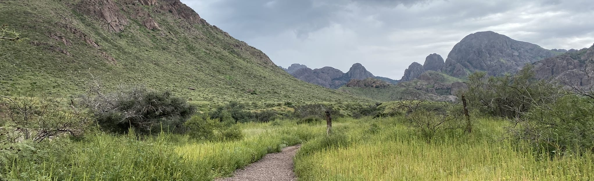 Soledad Canyon Loop 1070 Reviews, Map New Mexico AllTrails