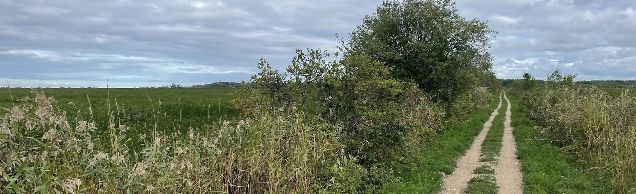 Grande Marais to Sunset Beach Trail 15 Reviews, Map Manitoba, Canada