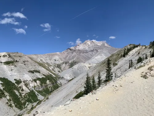 10 Best hikes and trails in Mount Hood National Forest AllTrails