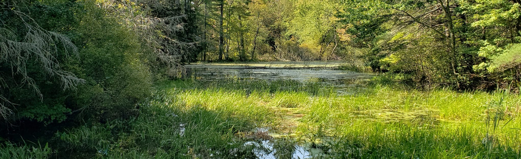 Sabine River Trail and East Trail Loop to the Nashua River, 154 Photos