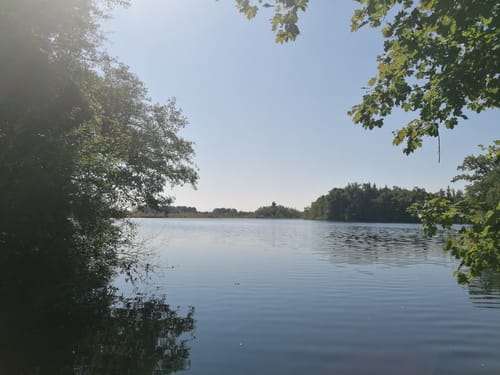 Um Buchsee und Häcklerweiher