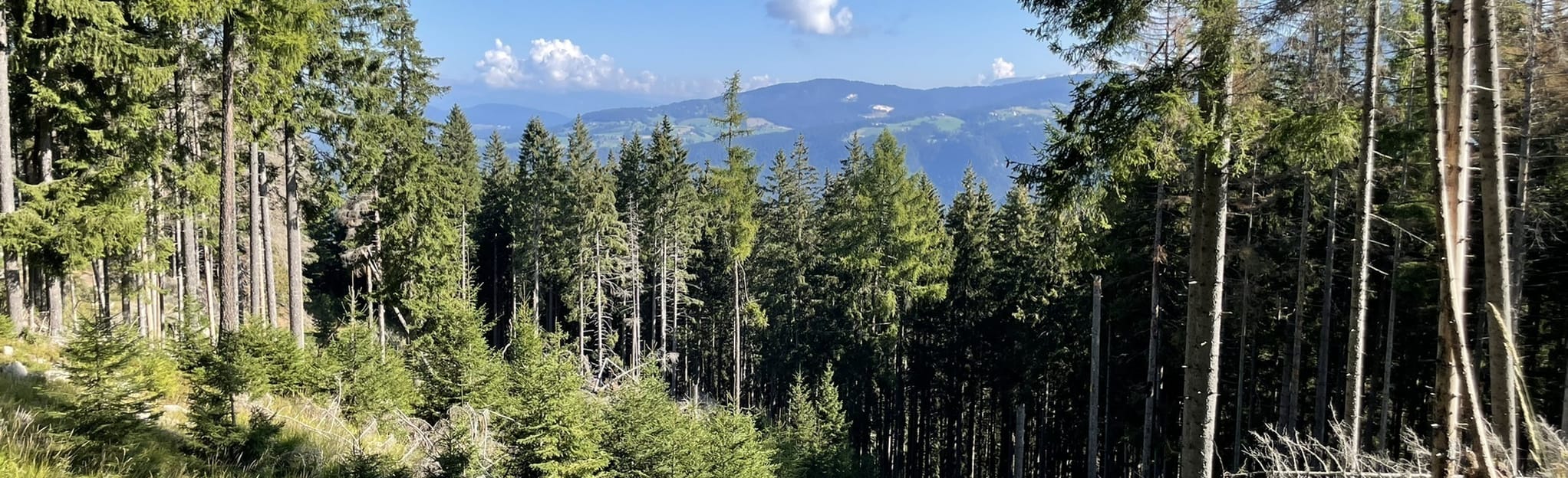 Trodena nel Parco Naturale Passo Cisa 2 Reviews, Map South Tyrol