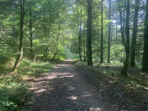 Eulenkopftour