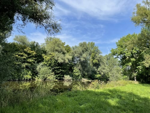 Durch die Braunschweiger Okeraue nach Wedtlenstedt