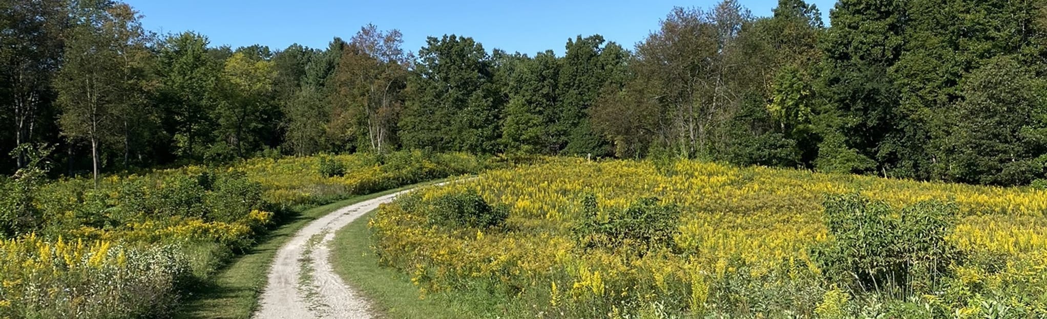 Addison Oaks East Loop, Michigan 45 Reviews, Map AllTrails