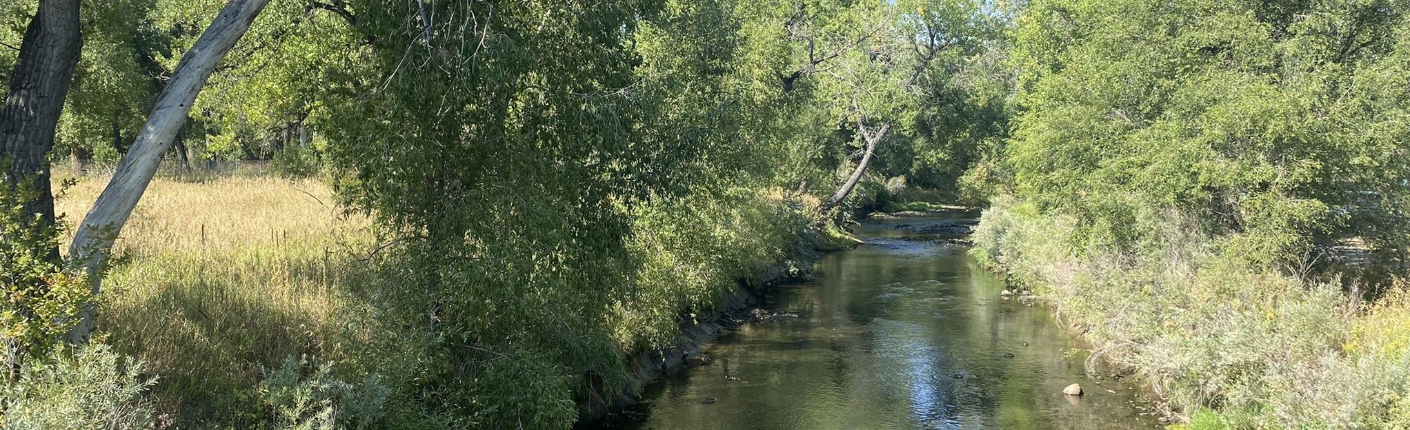 Prospect Lake to West Lake Loop, Colorado - 118 Reviews, Map | AllTrails