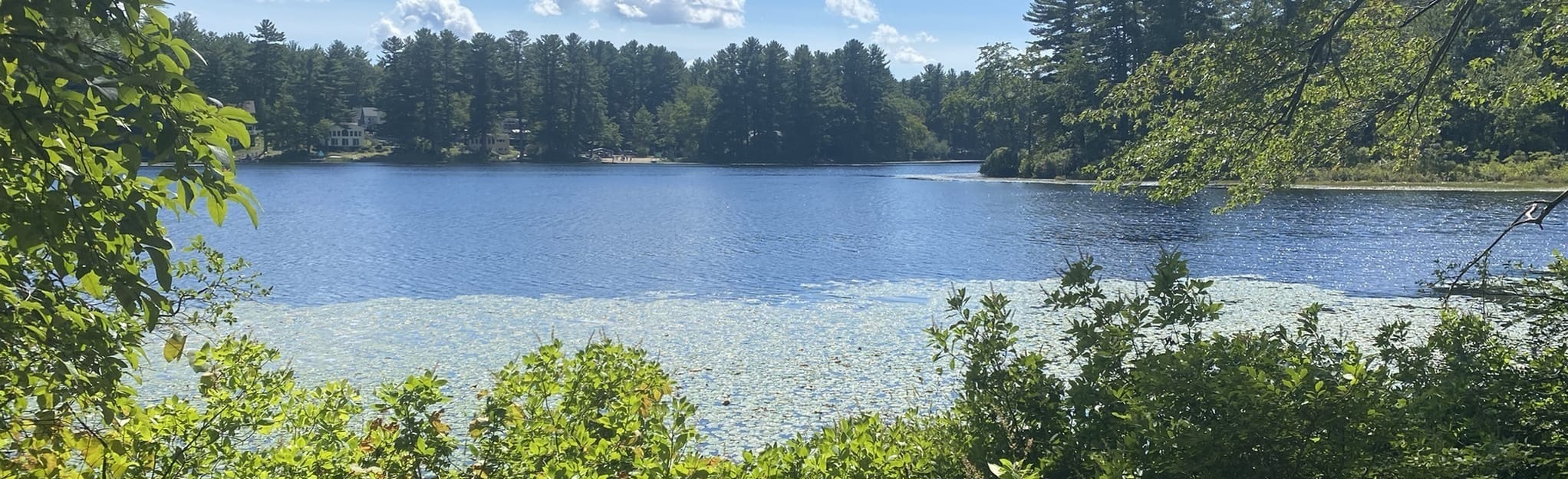 Lake Naticook and Quarry Trail Loop New Hampshire AllTrails