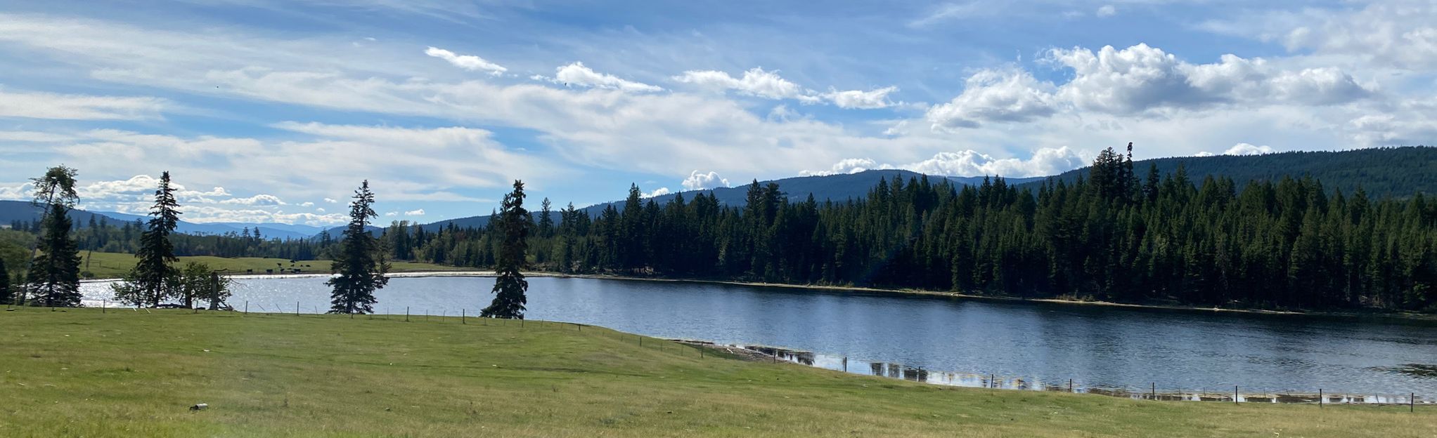 McLean Lake Road OHV Loop: 2 Foto's - Brits-Columbia, Canada | Wandelen ...