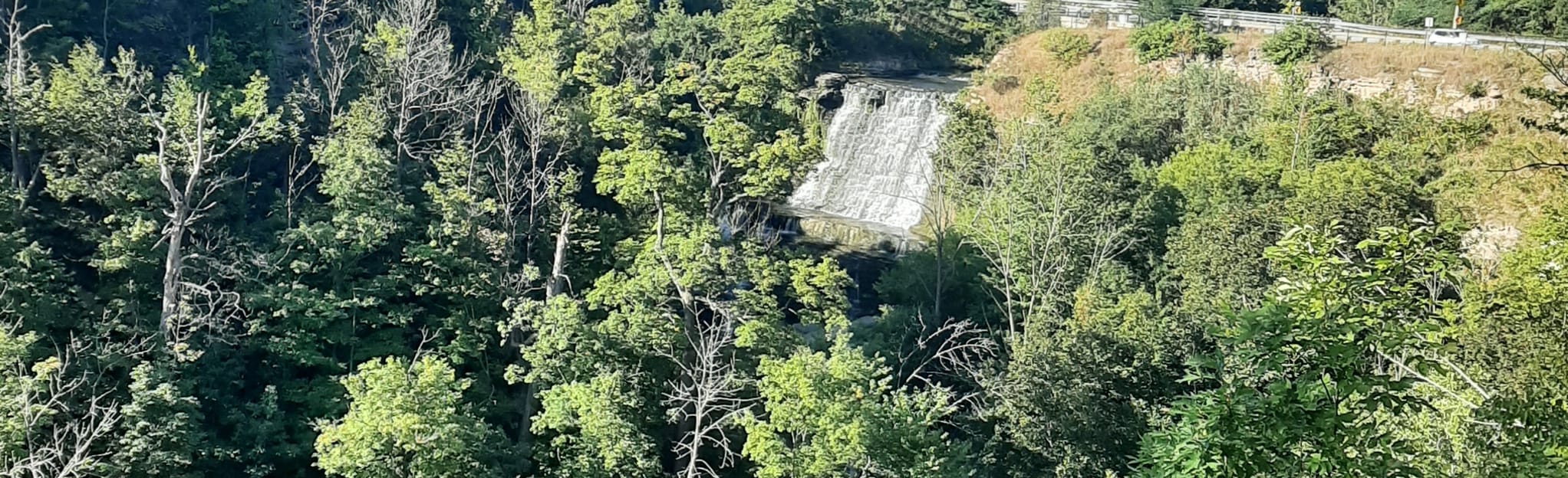 King's Forest Albion Falls Buttermilk Falls Bruce Trail, Ontario, Canada 85 Reviews, Map
