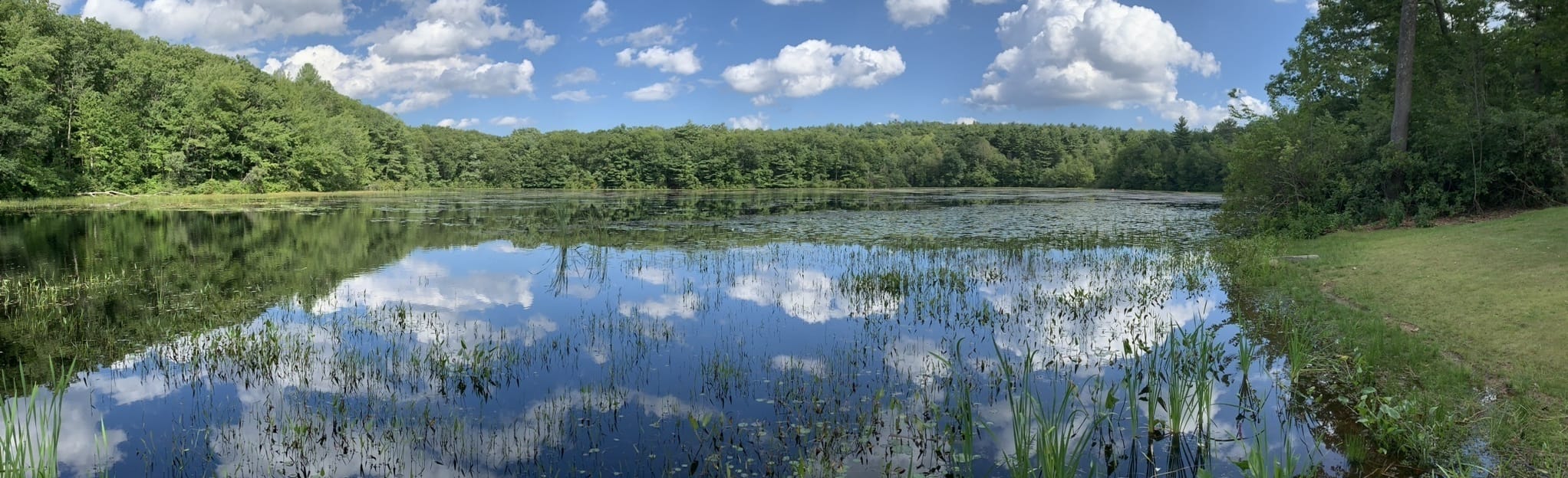 Eames Pond via Old Bringham Road Trail, Massachusetts 753 Reviews