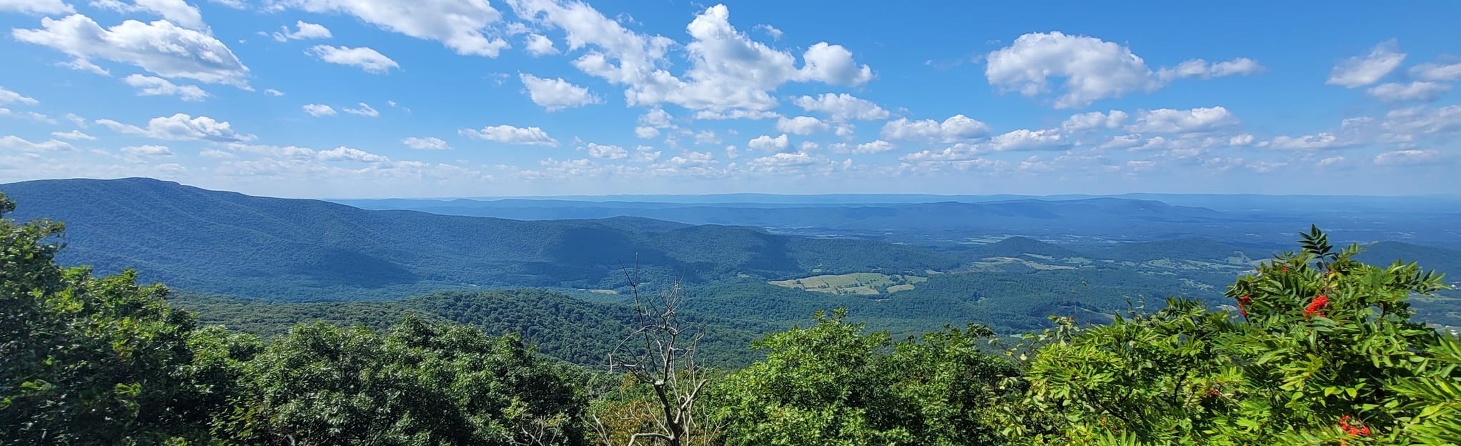 Mount Marshall via the Appalachian - EyJidWNrZXQiOiJhc3NldHMuYWxsdHJhaWxzLmNvbSIsImtleSI6InVwbG9hZHMvcGhvdG8vaW1hZ2UvNDAyOTc3ODEvZDIxNWMxNDExNTE3MmMwNzVhZGM4YTM4MGMwZGU2MTYuanBnIiwiZWRpdHMiOnsidG9Gb3JtYXQiOiJqcGVnIiwicmVzaXplIjp7IndpZHRoIjoyMDQ0LCJoZWlnaHQiOjYyNCwiZml0IjoiY292ZXIifSwicm90YXRlIjpudWxsLCJqcGVnIjp7InRyZWxsaXNRdWFudGlzYXRpb24iOnRydWUsIm92ZXJzaG9vdERlcmluZ2luZyI6dHJ1ZSwib3B0aW1pc2VTY2FucyI6dHJ1ZSwicXVhbnRpc2F0aW9uVGFibGUiOjN9fX0=