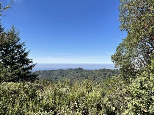 10 Best Hikes and Trails in El Corte De Madera Creek Open Space