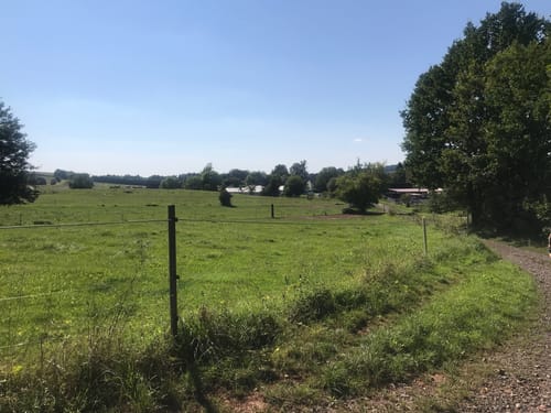 Langenselbold Mühl- und Weinbergrunde