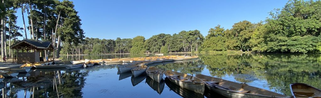 France, Ile-de-france, Paris, Ville De Paris, Boulogne, Bois De