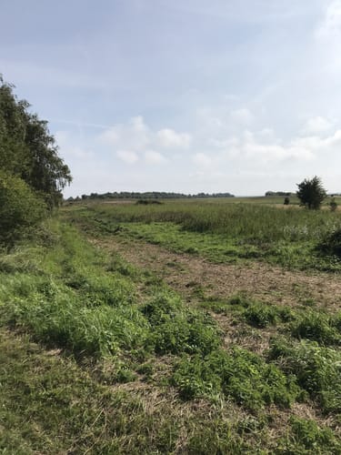 Insel Hiddensee ab Neuendorf