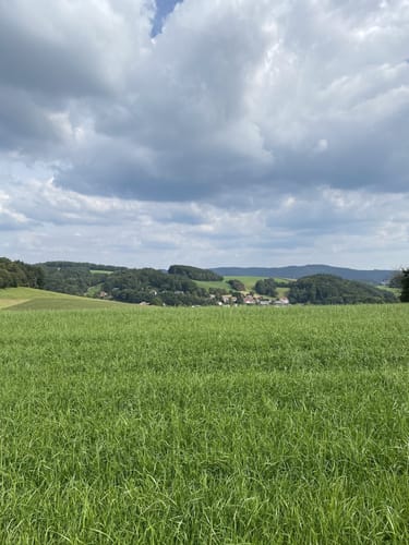 Rundstrecke Wald-Michelbach