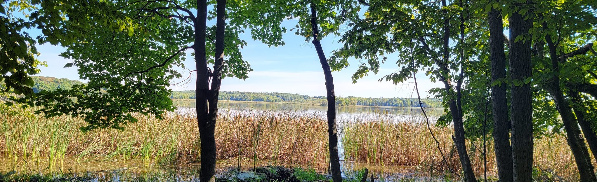 Big Eau Pleine Park Loop, Wisconsin 78 Reviews, Map AllTrails