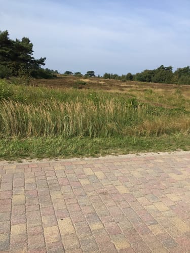 Hiddensee Tour: Kloster - Neuendorf