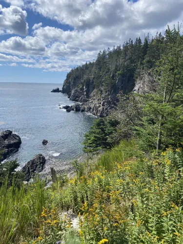 Best Hikes and Trails in Quoddy Head State Park | AllTrails