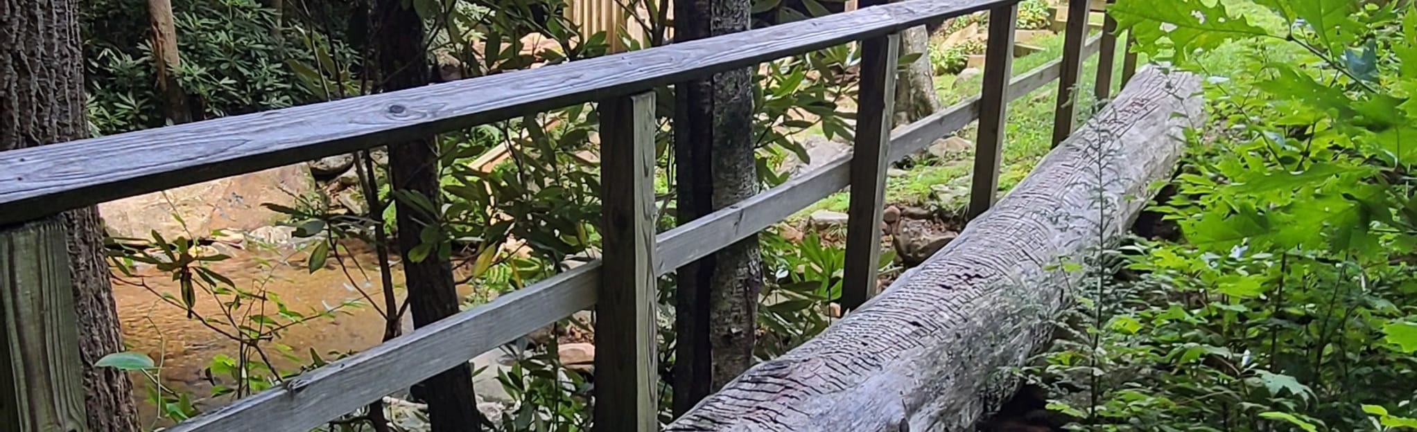 High Knob Tower via Lost Creek and Pickem Mountain 7 Reviews, Map