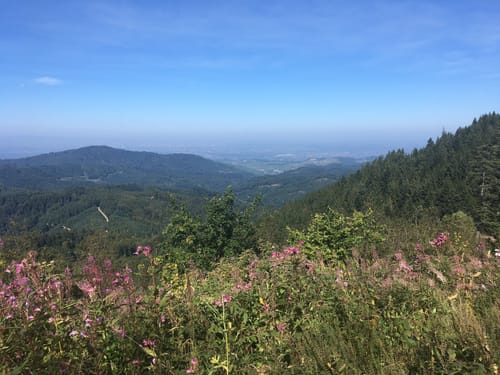Mooskopfturm-Lothardenkmal Rundwanderung