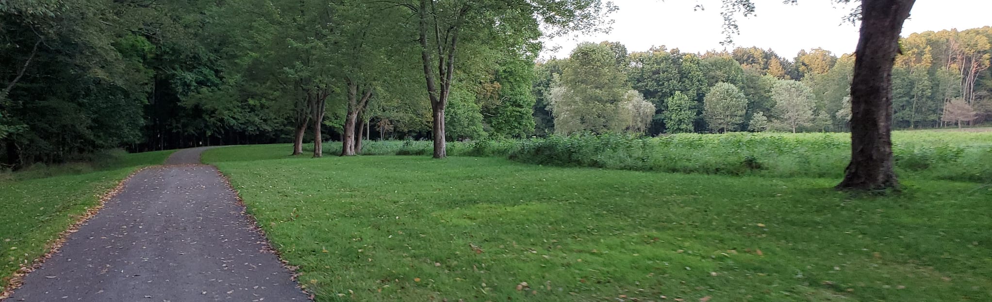 Grove City Borough Wolf Creek Trail 98 Reviews, Map Pennsylvania AllTrails