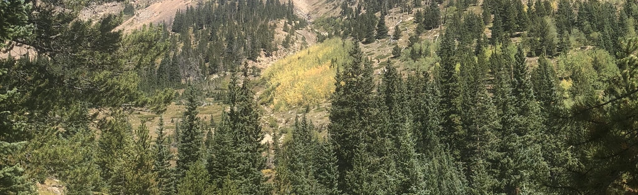 Mount Parnassus and Bard Peak: 986 foto's - Colorado | AllTrails