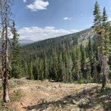 Fancy Pass Trail, Colorado - 283 Reviews, Map | AllTrails