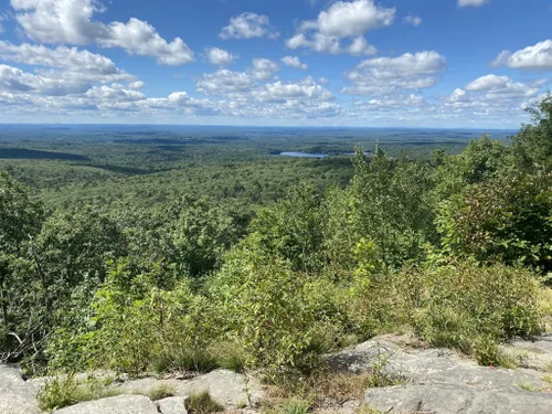 are dogs allowed at wachusett mountain