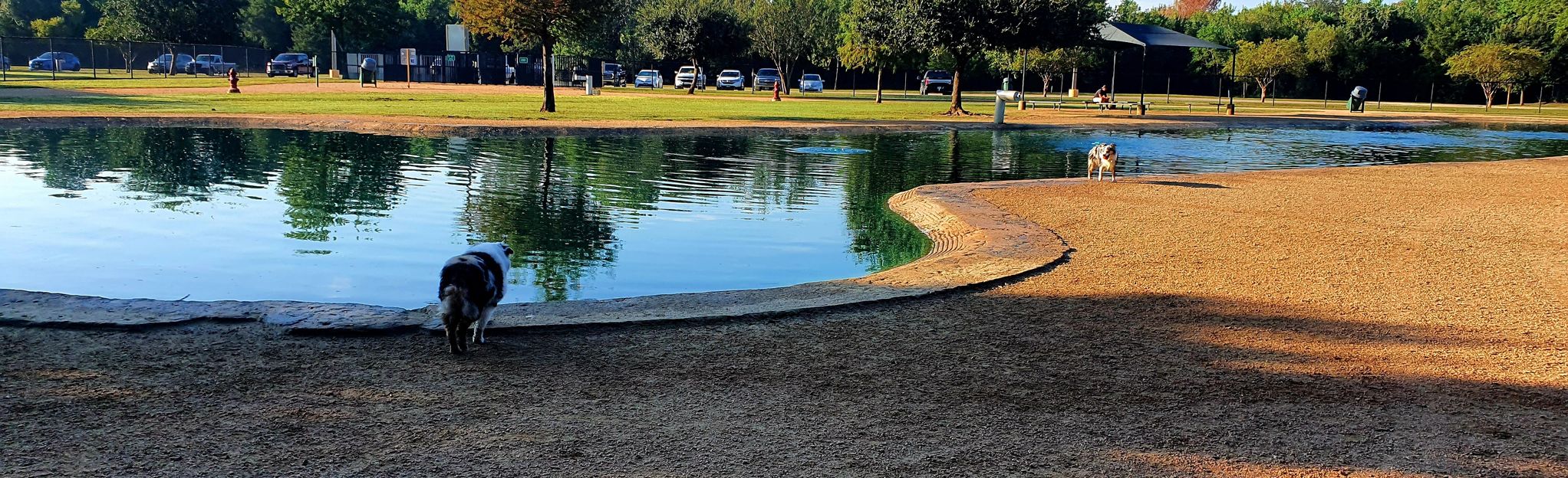 Bill Archer Dog Park Loop: 6 foto's - Texas | AllTrails