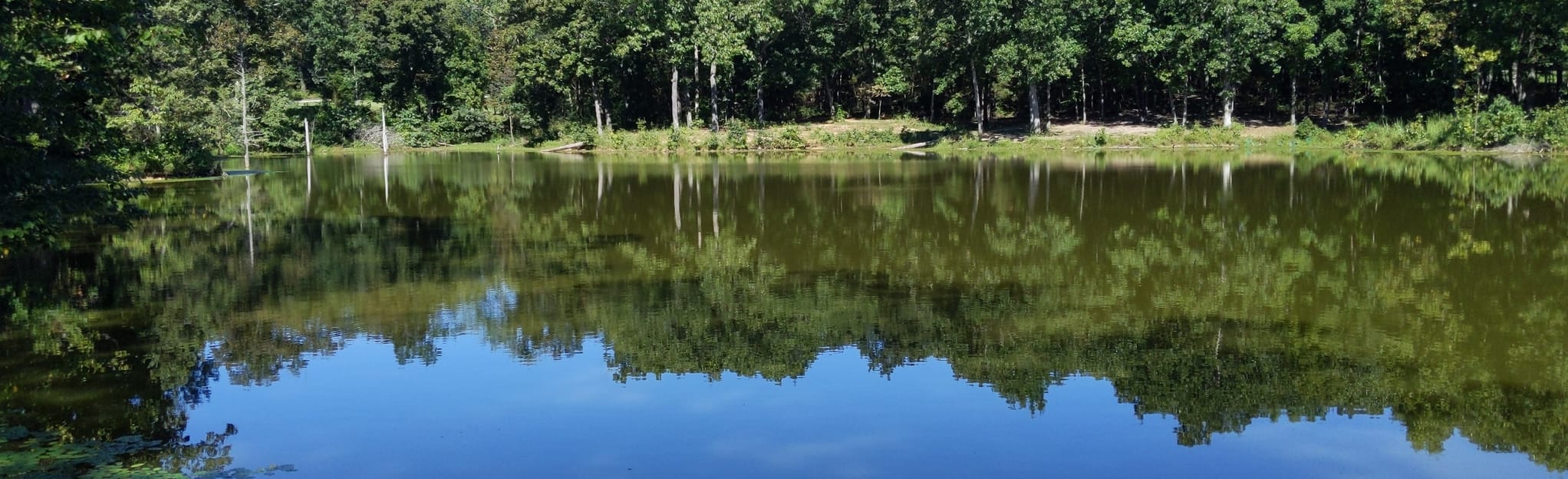 The Park at New Melle Lakes Loop 507 Reviews, Map Missouri AllTrails