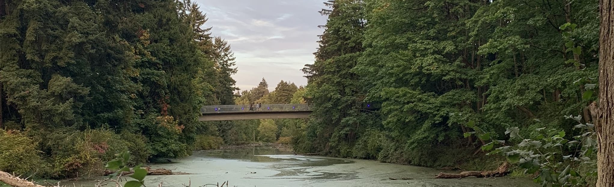 Crystal Springs and Johnson Creek Trail 205 foto Oregon AllTrails