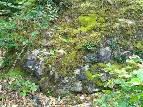 EifelSpur: Toskana der Eifel