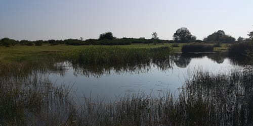 Vogtland Panorama Weg Etappe 3: Zwoschwitz - Oelsnitz