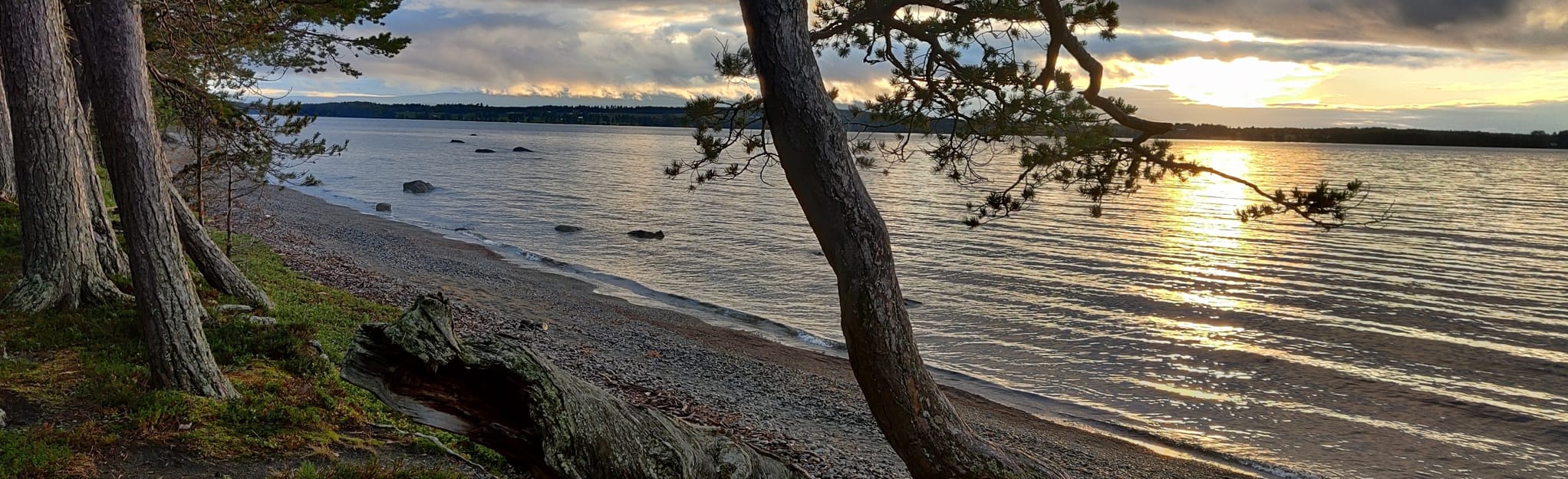 Andersön Nature Reserve, Jämtland, Sweden - 8 Reviews, Map | AllTrails