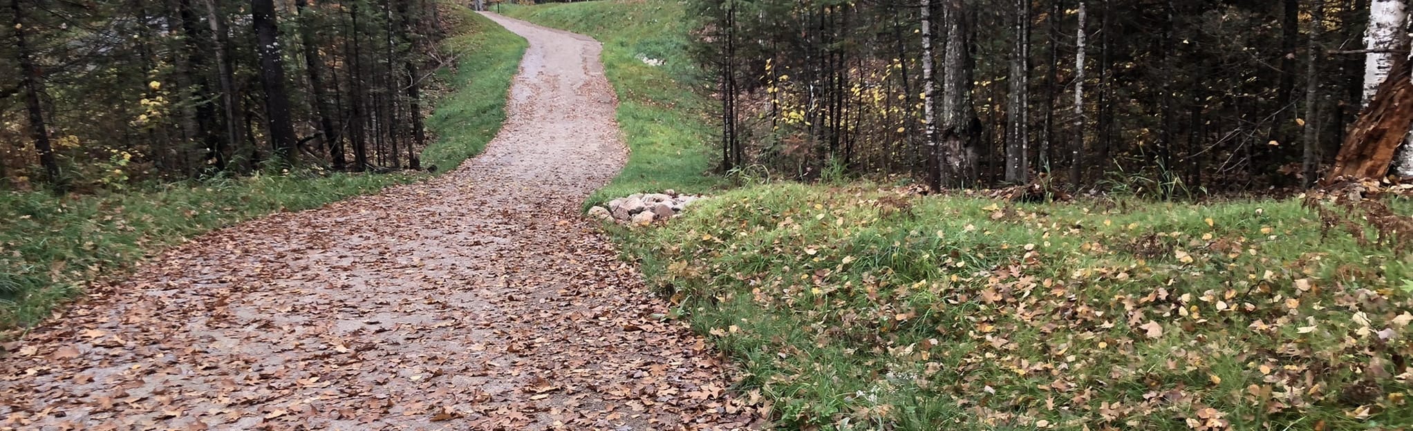 Conover Phelps Trail 18 Reviews, Map Wisconsin AllTrails