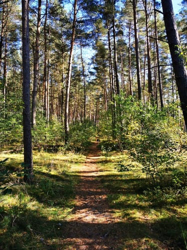 Brackel-Runde