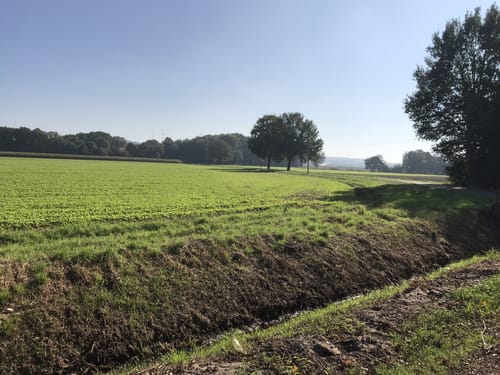 Vechtetalroute: Etappe Billerbeck – Metelen