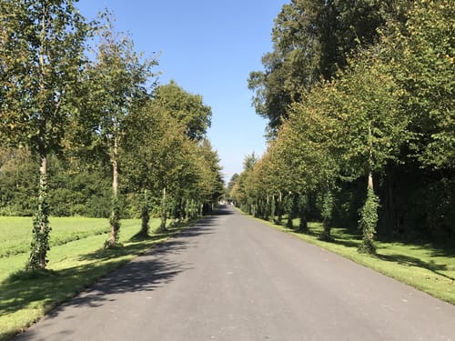 Vechtetalroute: Etappe Billerbeck – Metelen