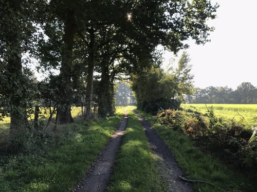 Vechtetalroute: Etappe Billerbeck – Metelen