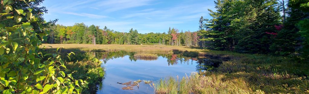 is gatineau park dog friendly