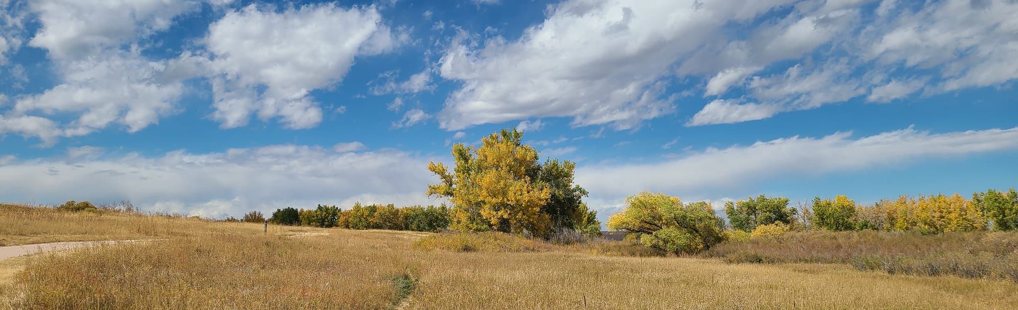 Cherry Creek, Pope, and Butterfly Hill Trail Loop 261 Reviews, Map