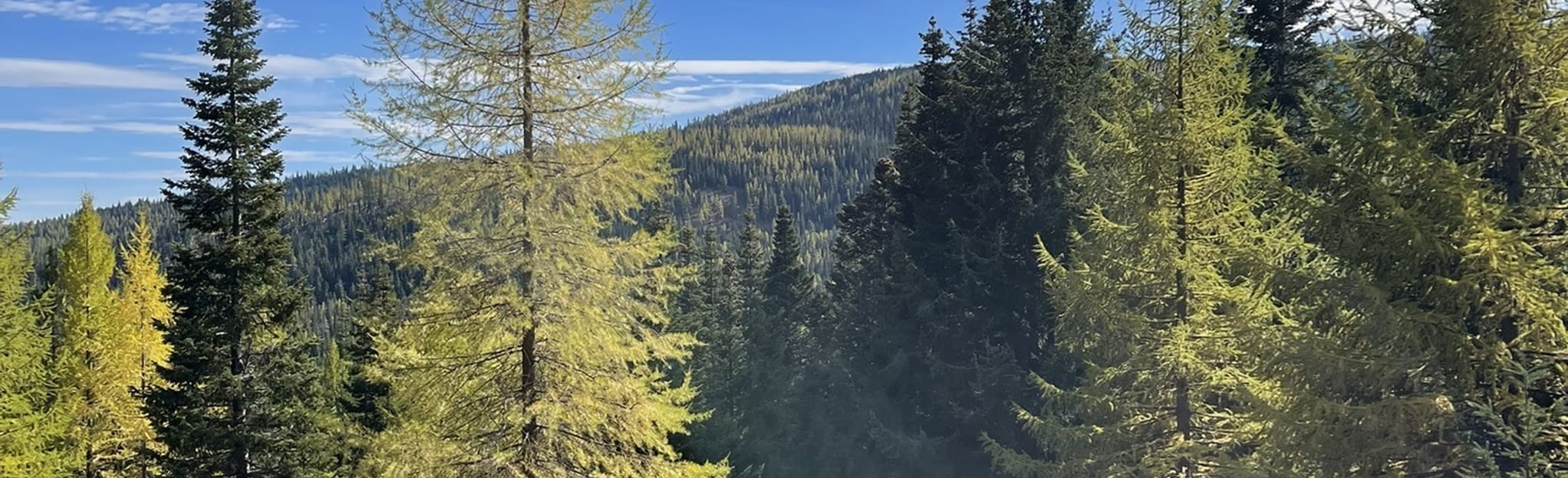 Whites Ridge via Grey Rock Trail, Washington - 56 Reviews, Map | AllTrails