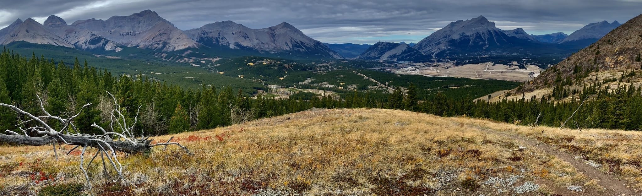 Big Bear, Alberta, Canada 33 Reviews, Map AllTrails